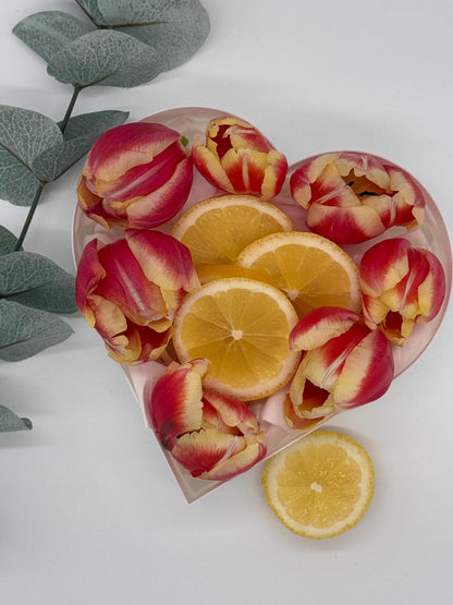 Befüllbare Buchstaben und Zahlen